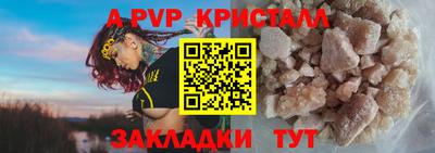 спиды Кингисепп