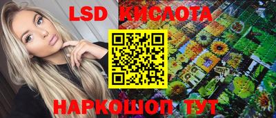 спиды Кингисепп