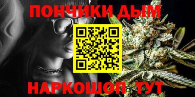 спиды Кингисепп