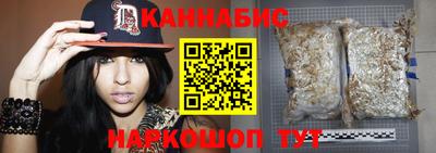 спиды Кингисепп
