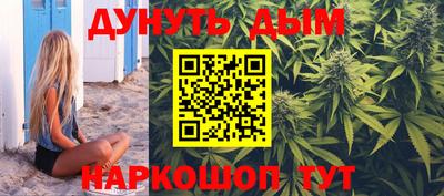 спиды Кингисепп