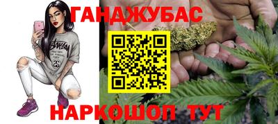 спиды Кингисепп