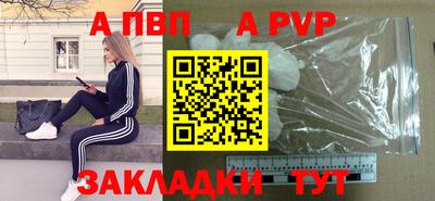 спиды Кингисепп