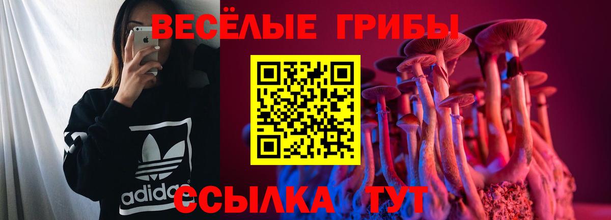 Псилоцибиновые грибы MAGIC MUSHROOMS  Вход с VPN  Галлюциногенные грибы Psilocybe  Чапаевск 