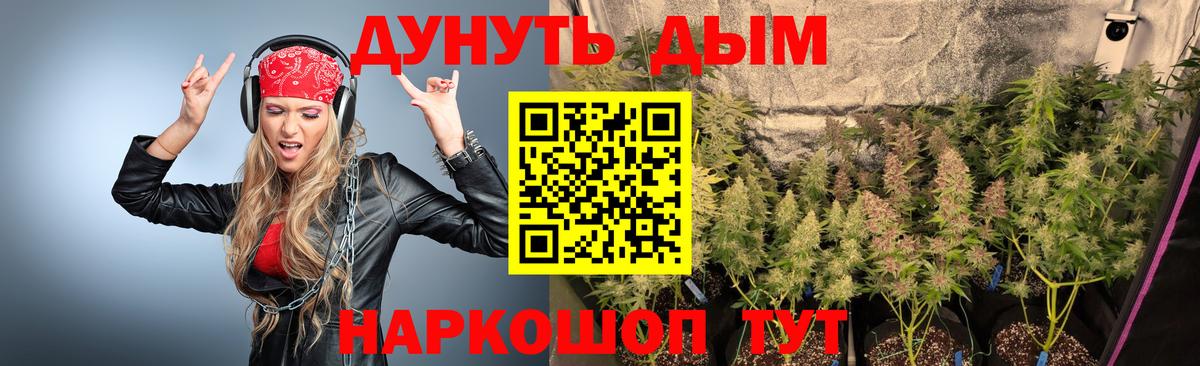 Бошки Шишки сатива Чапаевск